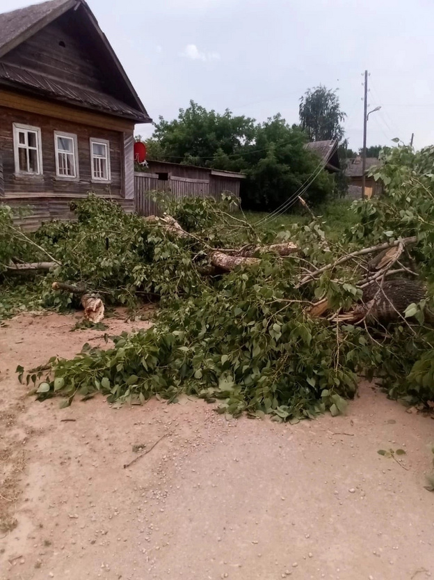Поваленные деревья, помятые автомобили. Последствия непогоды в Кировской области. Фото