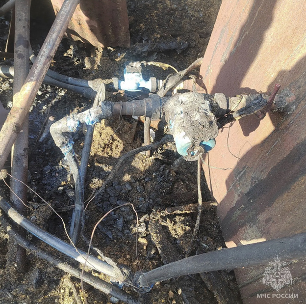 Спасатели вывели 180 коров из горящей фермы под Кировом