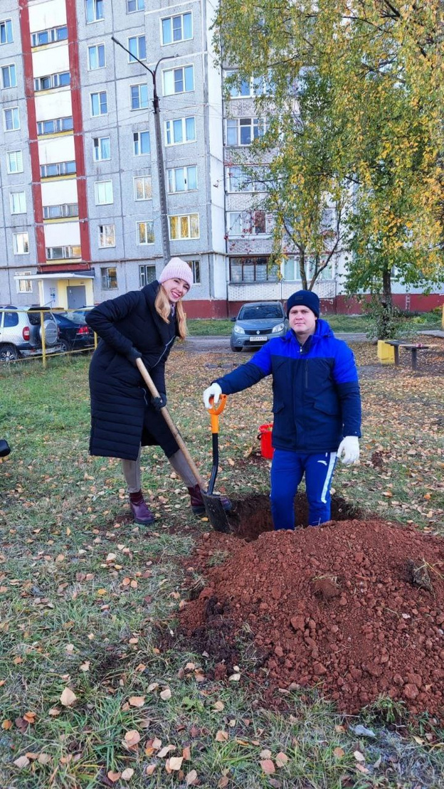 В Юго-Западном районе Кирова высадили хвойные деревья