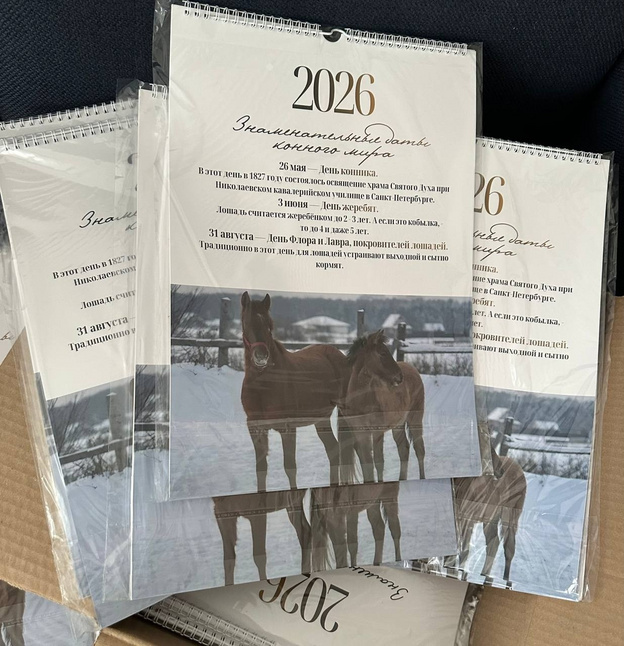 Никита Белых призвал помочь развитию бренда «Вятская лошадка»