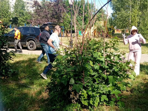 Кировчане семьями почистили Кочуровский парк от мусора и сухих деревьев
