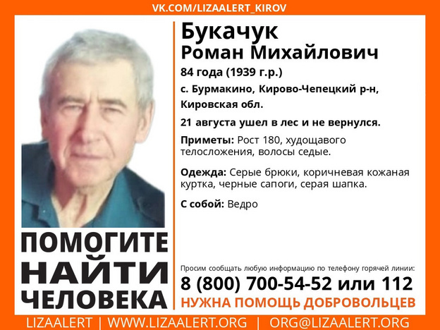 В лесах Кирово-Чепецкого района пропал 84-летний местный житель