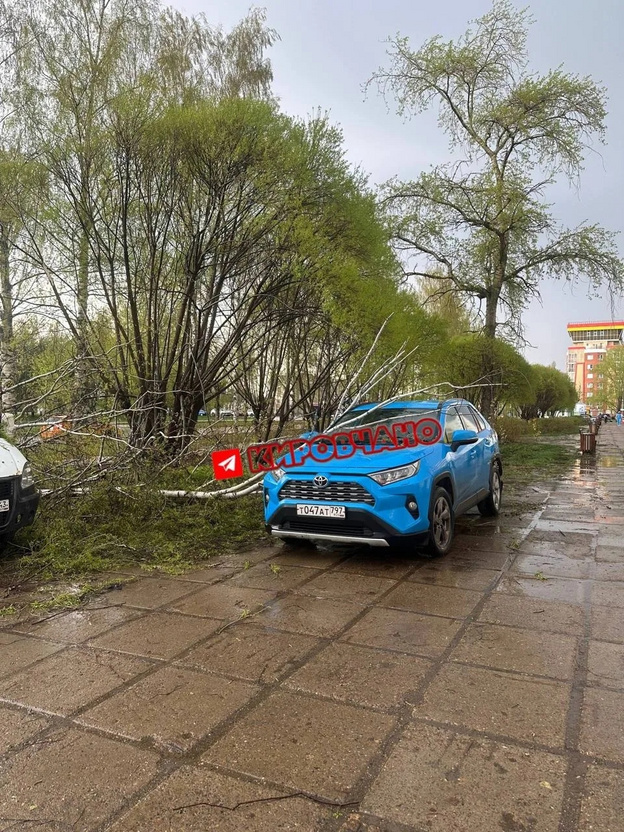 В Кирове из-за грозы падают деревья, окна и заборы. Фото