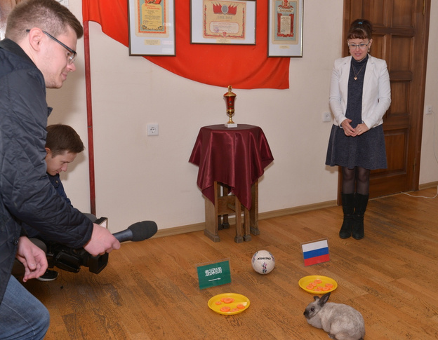 В кировском музее кролик предсказал результат игры сборной России на Чемпионате мира