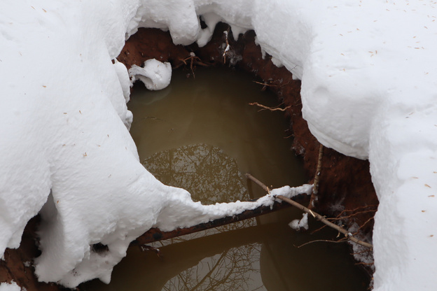 В Кирове аварийный дом четвертый месяц заливает канализация из-за бездействия УК