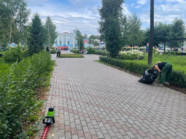 В Кирове ухаживают за клумбами, кустарниками и деревьями
