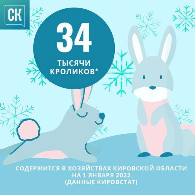 Кировстат подсчитал, сколько кроликов вырастили в регионе
