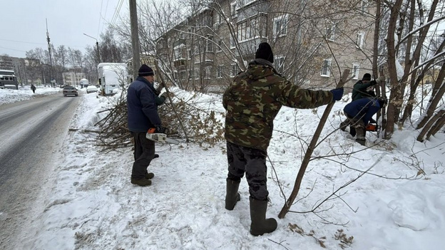 В Кирове вырубают аварийные деревья и готовятся к весенним посадкам