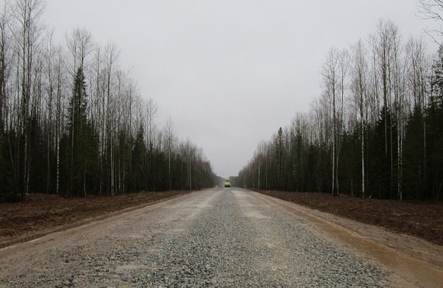 В Кировской области на уборку деревьев вдоль дорог потратят 14 миллионов рублей