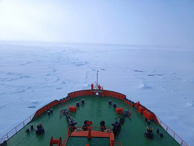 Арктические просторы, французы и белые медведи: участники проекта «Ледокол знаний» поделились впечатлениями о путешествии на Северный полюс