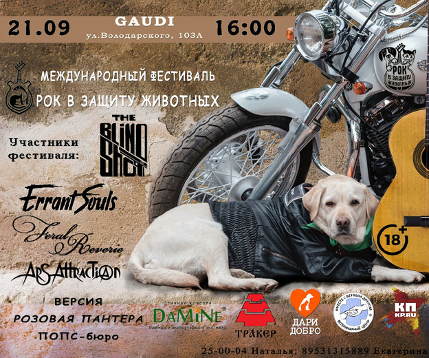 В Кирове пройдёт благотворительный рок-фестиваль в поддержку бездомных животных