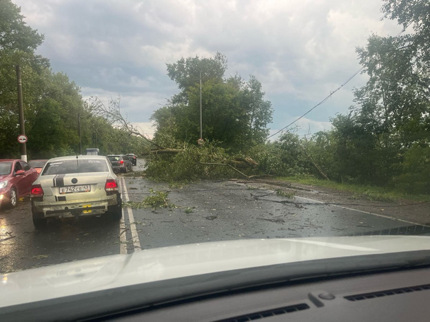 Ураган повалил деревья в районе старого моста в Кирове: фото