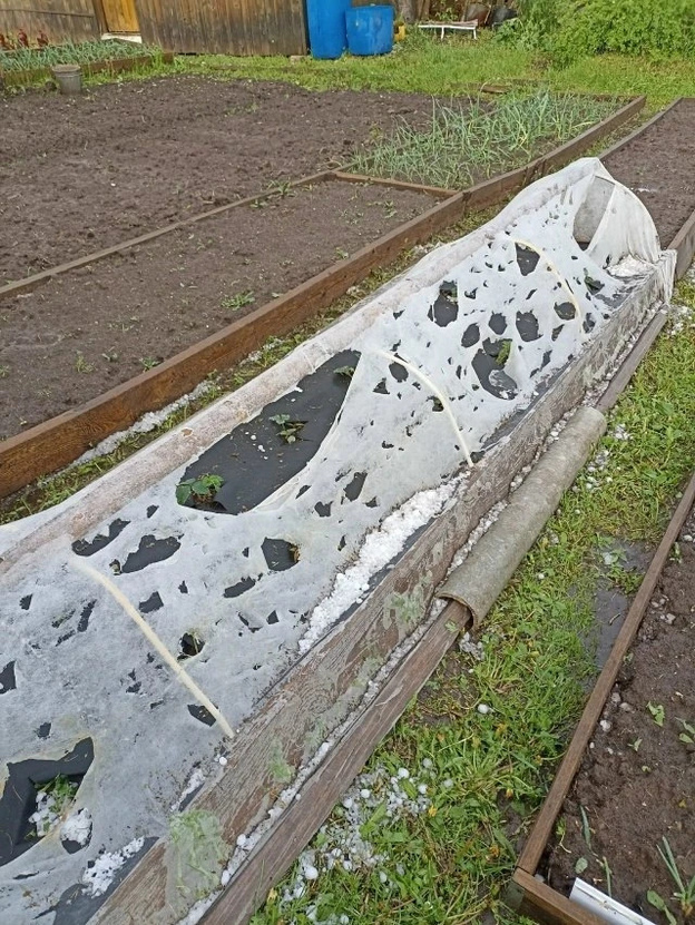Последствия мощного града в Омутнинском районе. Фото