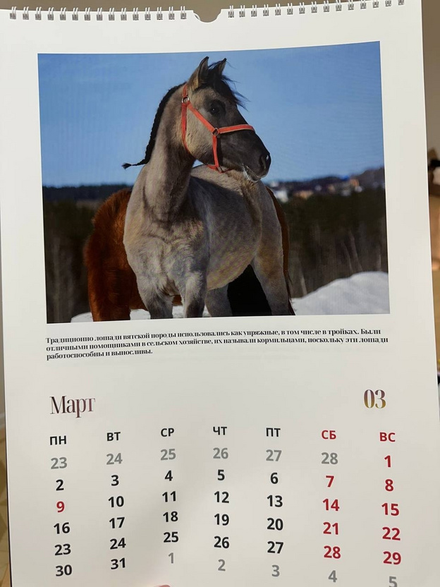 Никита Белых призвал помочь развитию бренда «Вятская лошадка»