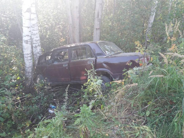 В Санчурском районе «пятёрка» съехала в кювет и врезалась в берёзу: два человека погибли