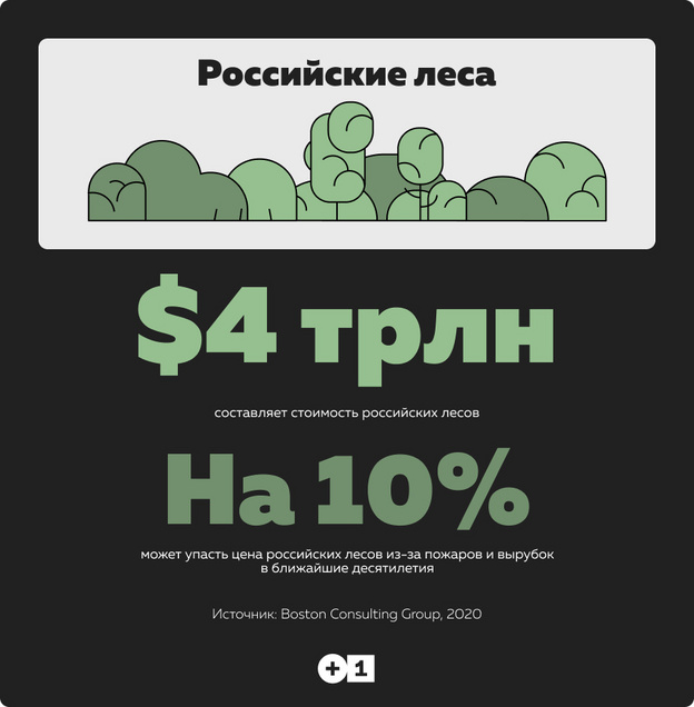 Международная компания оценила российские леса в 4 триллиона долларов