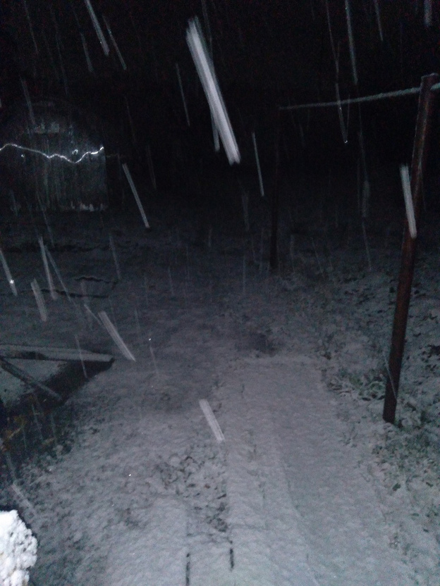 В Подосиновском районе выпал первый снег