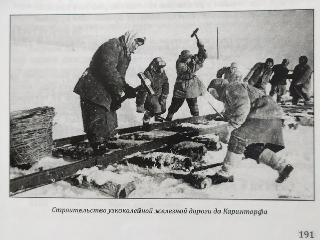 Построить за пять месяцев: история рождения ТЭЦ-3 и посёлка Каринторф