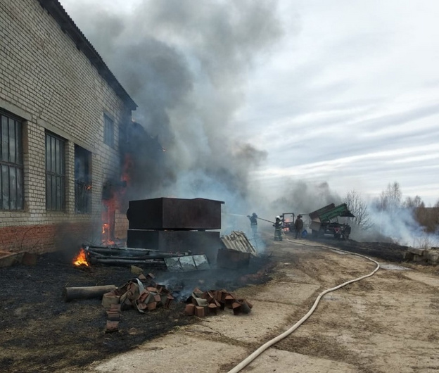 В Вятскополянском районе жители деревни помогли спасти лес от пожара