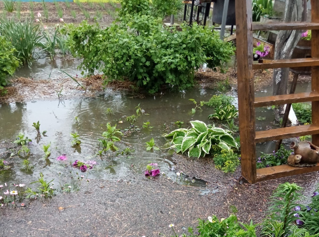 Огороды жителей Кирова затопило канализационной водой
