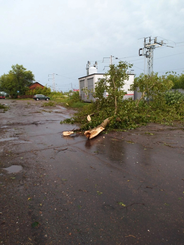 Поваленные деревья, помятые автомобили. Последствия непогоды в Кировской области. Фото