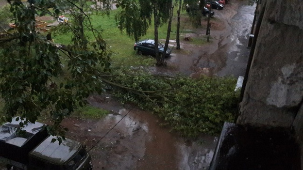 Сильный ураган в Кирове повалил деревья по всему городу