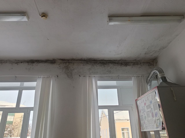 В школе Котельнича после ремонта за 8 миллионов расползлась черная плесень