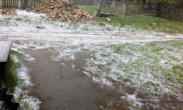 В Кировской области прошёл майский снегопад. Фото и видео из соцсетей