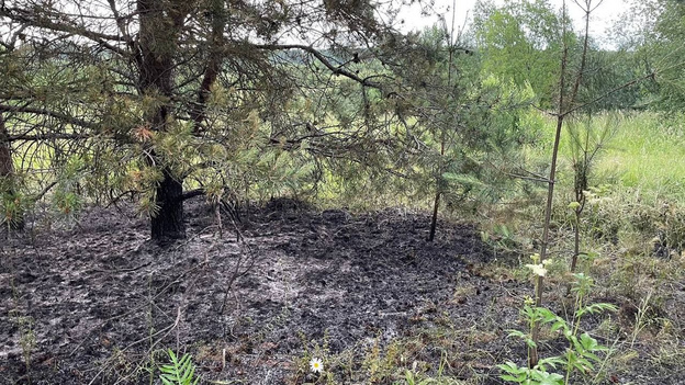 В Кировской области из-за грозы произошло шесть пожаров