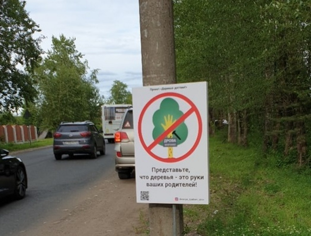 Кировчане запустили проект по очистке деревьев и придорожной территории от мусора