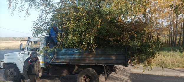 В Кирове высаживают деревья