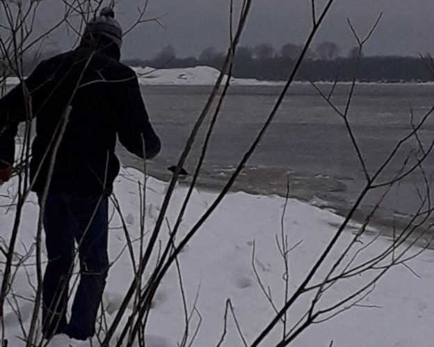 Жители Кирово-Чепецка спасли из ледяной воды тонущую собаку