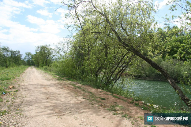 Прогулки у воды. Возле малоизвестного пруда в историческом центре Кирова может появиться парк