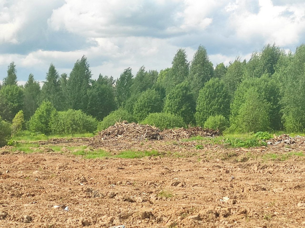В Санчурске предприниматель причинил почве ущерб на сумму более 119 млн рублей