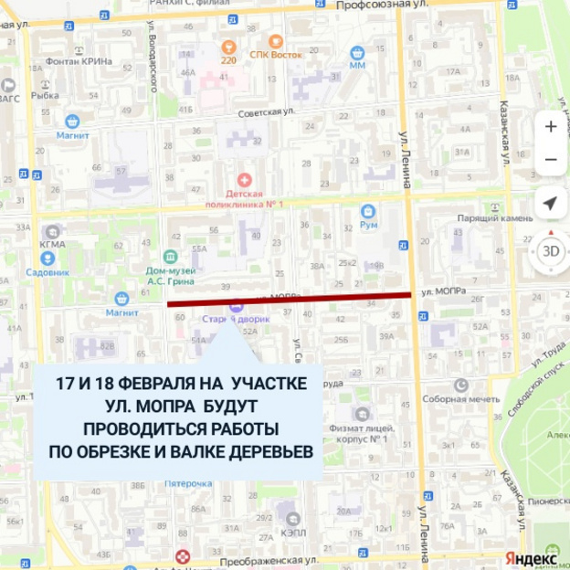 В центре Кирова будут проводить обрезку деревьев