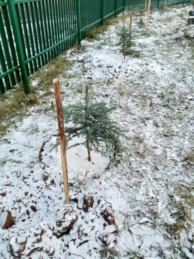 В Белохолуницком районе активисты подготовили к зиме несколько храмов