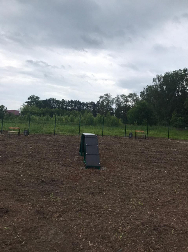 В Уржуме появилась площадка для выгула собак по решению суда