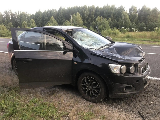 В Кировской области иномарка сбила лося