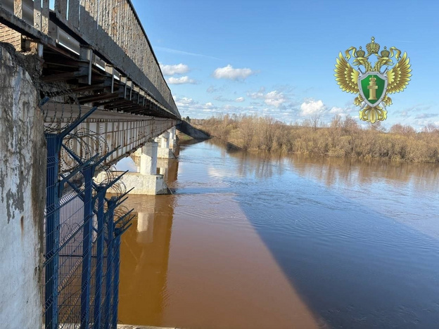 Директор и водитель заплатят 650 тысяч за обрушение моста в Кировской области