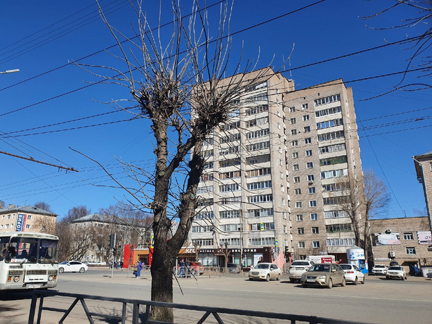 Почему в Кирове так безобразно обрезают деревья?