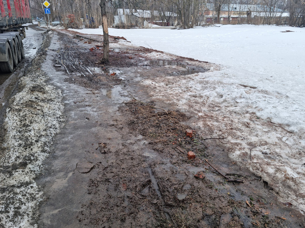 На улице Романа Ердякова пешеходы вынуждены ходить по грязи