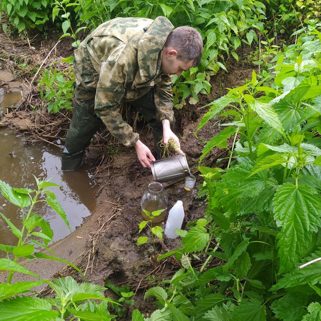 В реке Проснице массово погибла рыба. Предположительно, из-за жидких отходов с местного предприятия