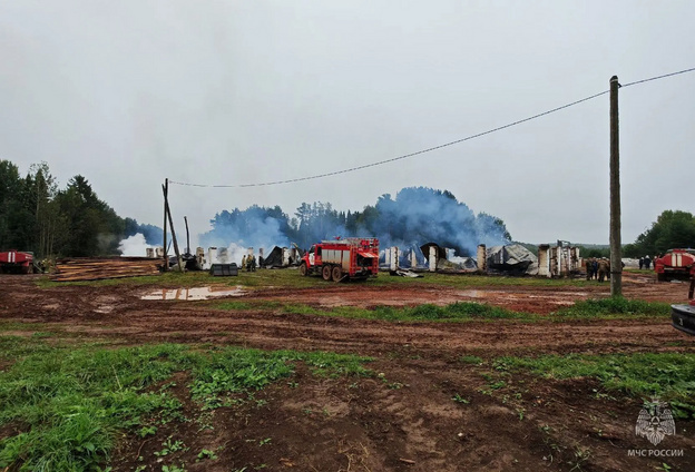 В селе Белая при пожаре погибли сотни сельскохозяйственных животных