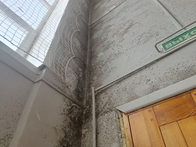 В школе Котельнича после ремонта за 8 миллионов расползлась черная плесень