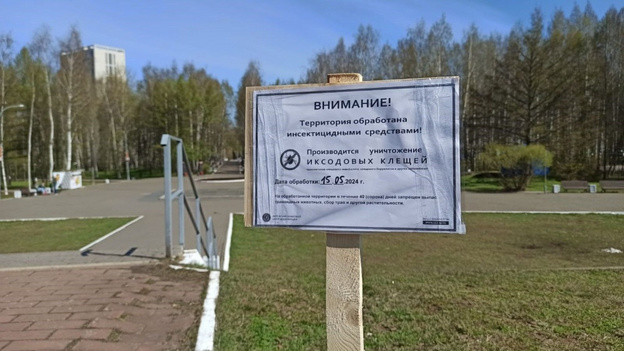 В Кирове парк Победы обрабатывают от клещей
