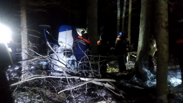 Рядом с границей Кировской области произошла авиакатастрофа. Есть жертвы