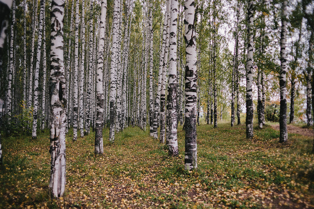 Топ-5 самых живописных мест для встречи рассвета в Кирове