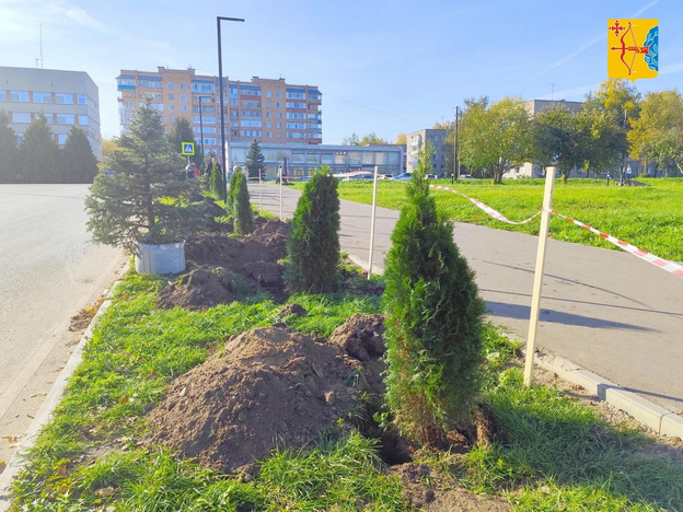 В Кирово-Чепецке появилась новая аллея из елей и туй