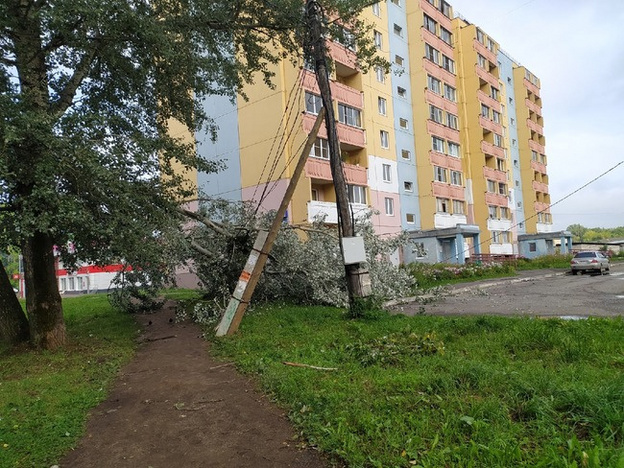 Сильный ураган в Кирове повалил деревья по всему городу