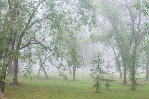 Киров накрыл густой туман. Фото